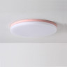 Потолочный светильник DISC HALF цвет розовый