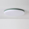 Потолочный светильник DISC HALF зеленого цвета
