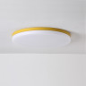 Потолочный светильник DISC HALF цвет желтый