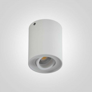 Накладной светодиодный светильник ADISA цилиндрической формы