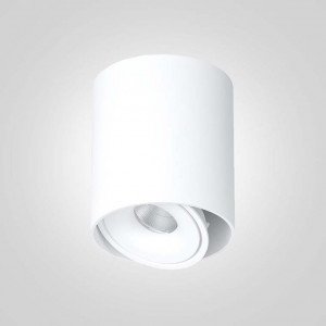 Накладной светодиодный светильник DOMIN TUB LR